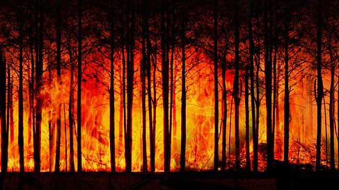 Waldbrände Brasilien