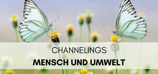 Channelings | Mensch und Umwelt